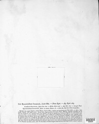 Byssocladium fenestrale image